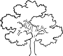 OakTree Financial Planning OakTree Financial Planning