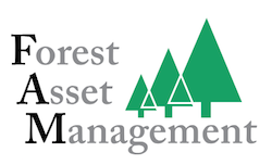 Forest Asset Management LLC