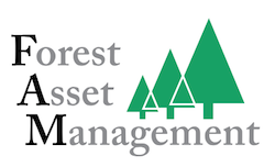 Forest Asset Management LLC Forest Asset Management LLC