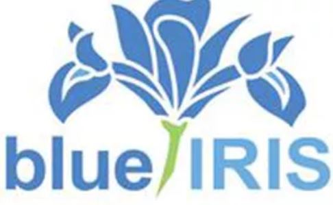Blue Iris