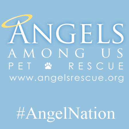 Angels